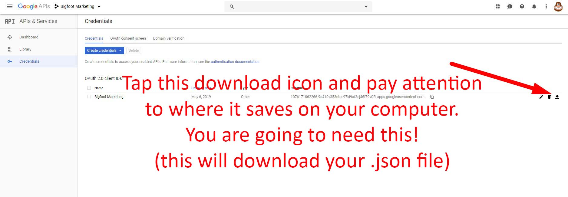 Step 20.  Download your credentials (.json file)